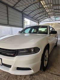 تشارجر SXT • ٢٠١٨ • الرمادي