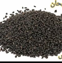 بيع بذور ريحان عراقي التصال عل رقام 07884137205