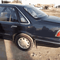 دايو برنس • ١٩٩١ • سنوية ٢٠٢٨