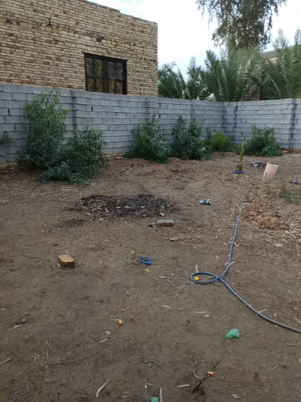 💢السلام عليكم
🧾 قطعه للبيع طابوو زراعي سند 25♦️✨♦️

العنوان وراء عمارات الزيتون ♦️♦️♦️♦️

قريب عالشارع العام الثالث بيت🌹🌹🌹
     (متوفره كافة الخدمات) 🌹♦️✨🌹

📏المساحه 300 الواجهه 17ونص 🌹🌹🌹 نزالها 19 ونص ✨

 مرقمه من البلديه مكانها كلش حلو بالبدايه اول ما تطب عمارات ♦️

الزيتون ثاني بيت عن الشارع ✨✨ سعره خاص كلش حلو ♦️🌹
 
 #يباعن كلهن #موقع كلش يخبل بيه نخل سته نخلات🌹🌹🌹♦️🌹

#ارض  حق التصرف مسيج بلوك وكامل♦️♦️✨✨

#سند 25 تحويل مباشر بأسم المشتري 🌹🌹🌹🌹

🔹🔸🔹🔸🔹🔸🔹🔸🔹🔸🔹🔸🔹

#للاستفسار اكثر الاتصال على الارقام 

☎️هاتف:- ***********

☎️هاتف:- ***********
