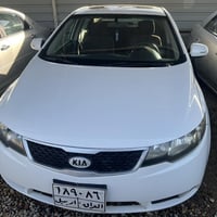 ٢٠١١ • رقم اربيل • باب خلفي صبغ