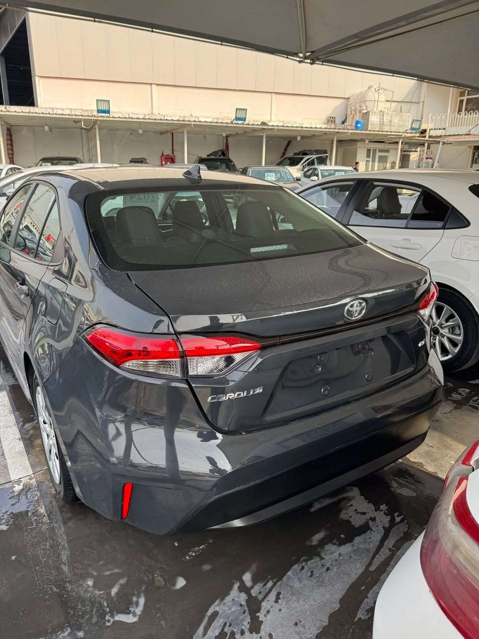 تیۆتا کرۆلا مۆدێل 2024مواسەفات LEشاشە کامێرا برێک بەسمە  ڕادار و ئۆتۆ ستۆپ پێش کەپسە بەس سنووقی بۆیاخە هیچی تری نیە بێ ناو بێ ئێرباگ سعر 157گەڵا کاتی نەشکاوە کەی کڕیت بڕۆ ڕەقەمی کە بێکێشە  
ژمارە تەلەفوون ***********
