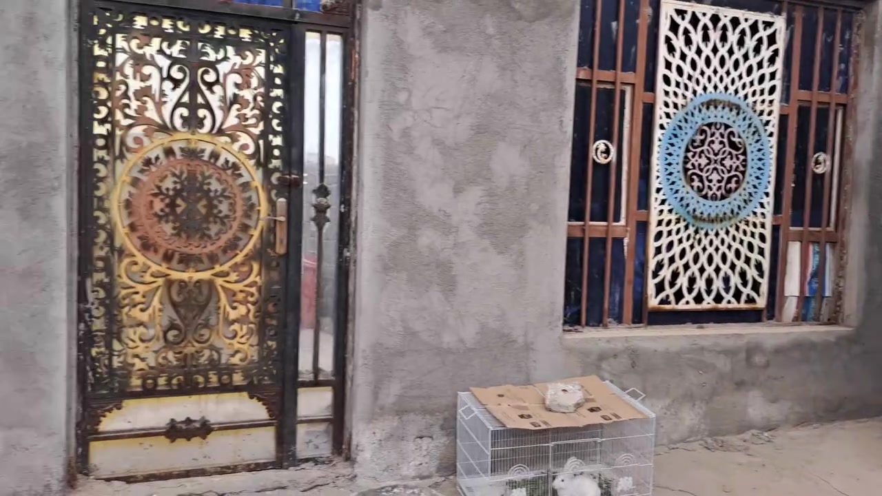 بيت للبيع ١٧٠متر حاوي العباس رايدينه ١٥ والخاص مفتوح


**إذا كنت صاحب هذا الإعلان وتريد حذفه لأي سبب، رجاءا أرسل رسالة إلى الدعم الفني**