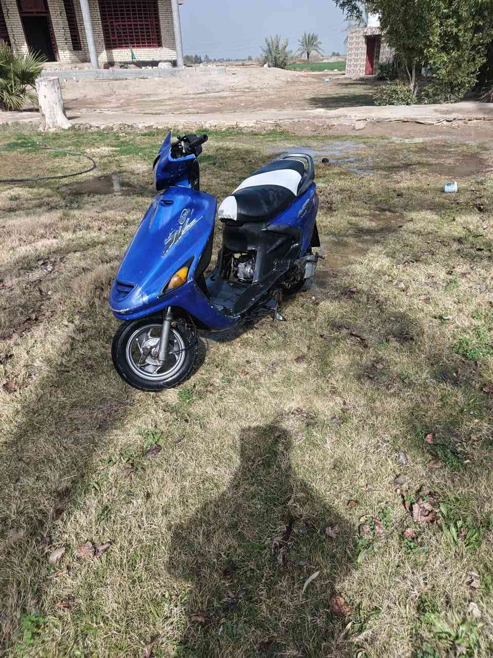 فراشه لبيع المكن بابل شملي السعر300 الف اوبيه مجل لطيبين ***********
