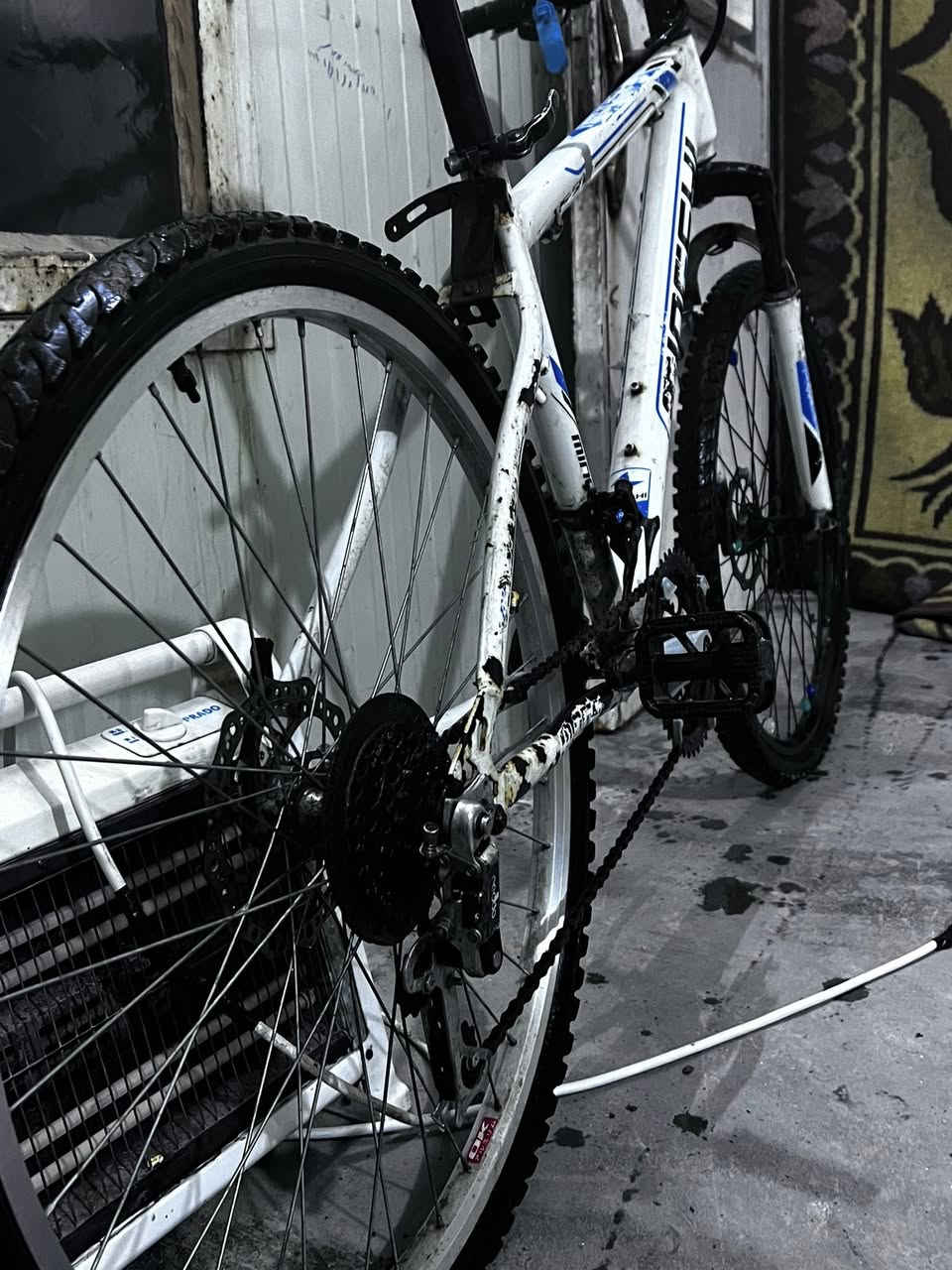 باسكل جبلي حجم26 السعر. 40الف مكاني زعفرانيه ***********
