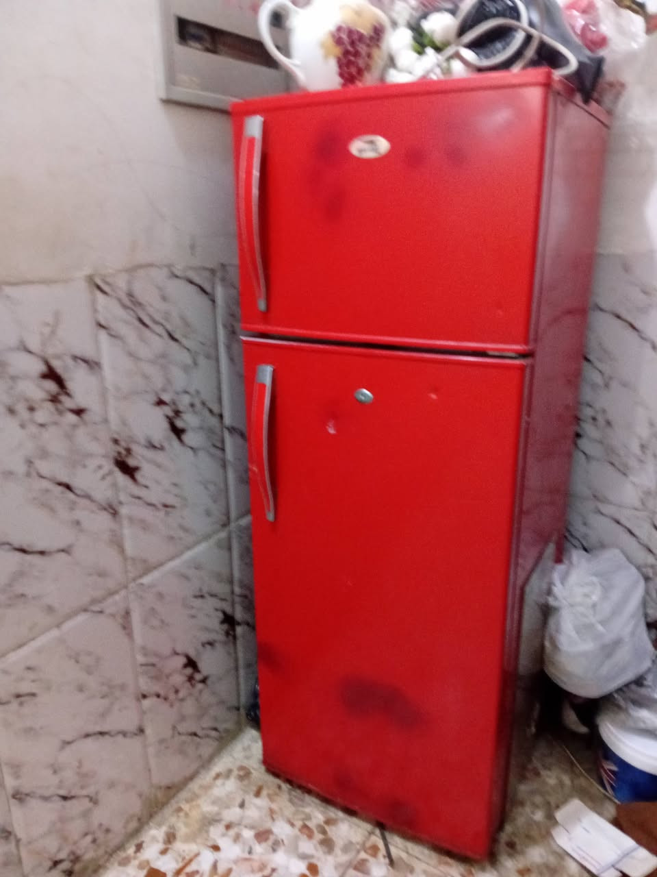 ثلاجه   نضيفه  تجميد فول وبيه ظمان ثلاثت يام  وسعر خاص


**إذا كنت صاحب هذا الإعلان وتريد حذفه لأي سبب، رجاءا أرسل رسالة إلى الدعم الفني**