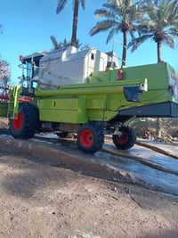 حاصوده هيدرو للبيع جاهزه للحصاد التاير الكدام 26 الوره 18 حاصوده كفاله...