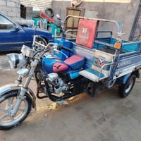 جمره ٢٠١٩ • أوراق كاملة • سماوه