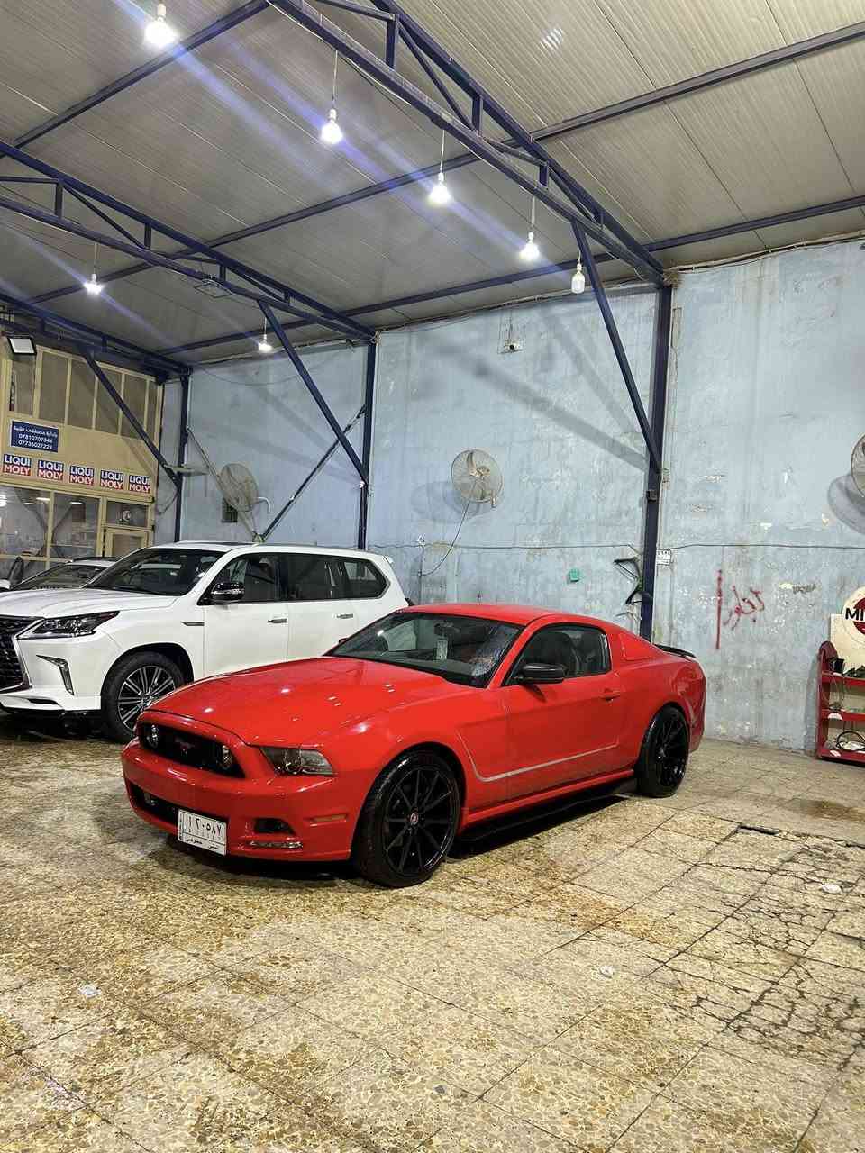 السلام عليكم الي يدور حادث ولون وجمال موستنك 2014
للبيع او مراوس 
6سلندر 
حادثها موضح كدامكم 
صبغ ابيع احزام بس هيه اقل بهواي والبنيد لأفتح ولابارد ولاصبغ والقماره هم مكفوله ع بلاد بجمها 
ماشيه 89
عليها كشنات ريكارو 
ويل اصلي ٢٠
السياره ع بلاد كله كهربائيات وغراضها كلها بلاد تفتح بنيد تتونس كله شركه 
السياره باسمي هزه ستوني سويت كبل اداورلك 
سعرها 118ترهم مراوس مكاني كربله واذا معجبتك صلي ع نبي 
ه ***********
