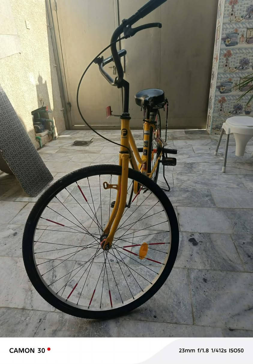 سـلام عليـكم🙋.
بـايسكل لـلبيع🌸.
نـوع البايسـكلل:بنـاتي🥷.
الحـجم:26❤️.
السـعر110وبي مجال🌹.
النـظافه:90/.
الـون:بـرتقـالي🧡.
الموديـل:2017🪬.
تـواصل:مـاسنجر او واتساب الرقم***********.
غـراضه:كـلهن مـوجوده.🍃
ومكـفول من السـرقه💆.
فـقط بـيع بـدون مـراوس😌.
ومـع السـلامه👋🏻.
