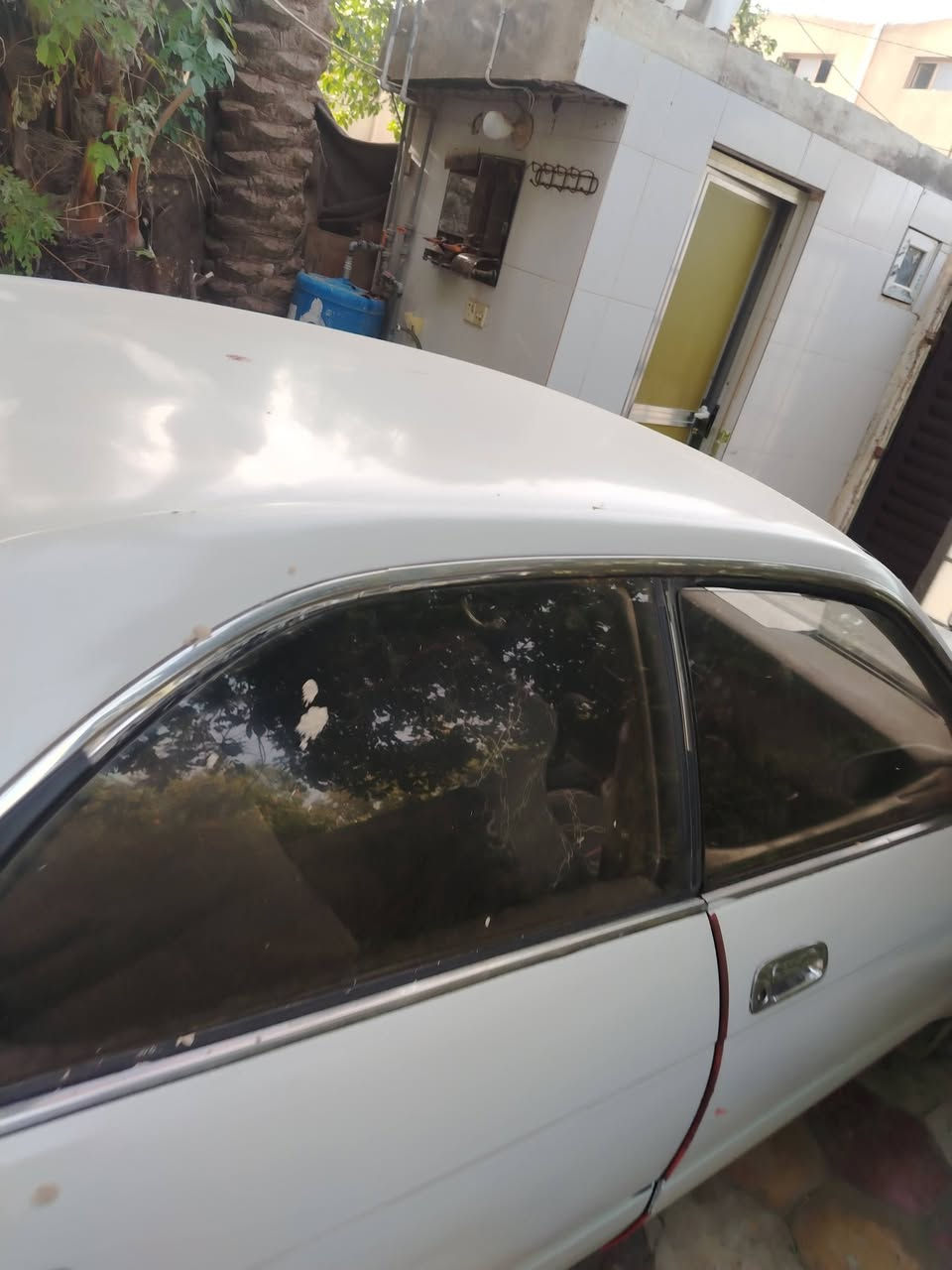 بطه رقم ديالى تحويل مباشر بسمي سنويه نافذه كفاله كص ونقل
ضربه جاملغ خلفي
مكينه كير جدد
داخل دشبول تعبان
تايرات حلوات
مكان بابل
***********
