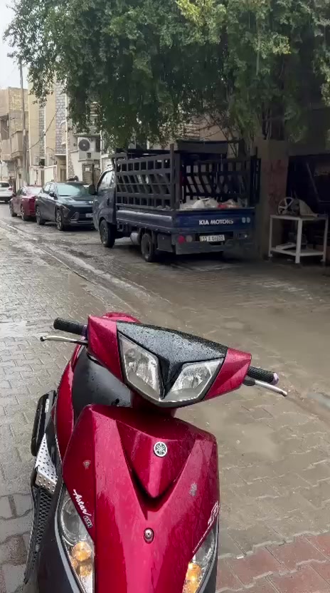 سلام عليكم دارجه ثعلب نوزل مصارله شهر من نازله من رمبه اورق موجوده للبيع او مراوس بشمعه او لد اذا نضيفه انطي فرق مكاني بغداد الحريه للاستفسار خاص


**إذا كنت صاحب هذا الإعلان وتريد حذفه لأي سبب، رجاءا أرسل رسالة إلى الدعم الفني**