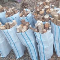 خشب مشرح • بدون تشريح • الأنبار