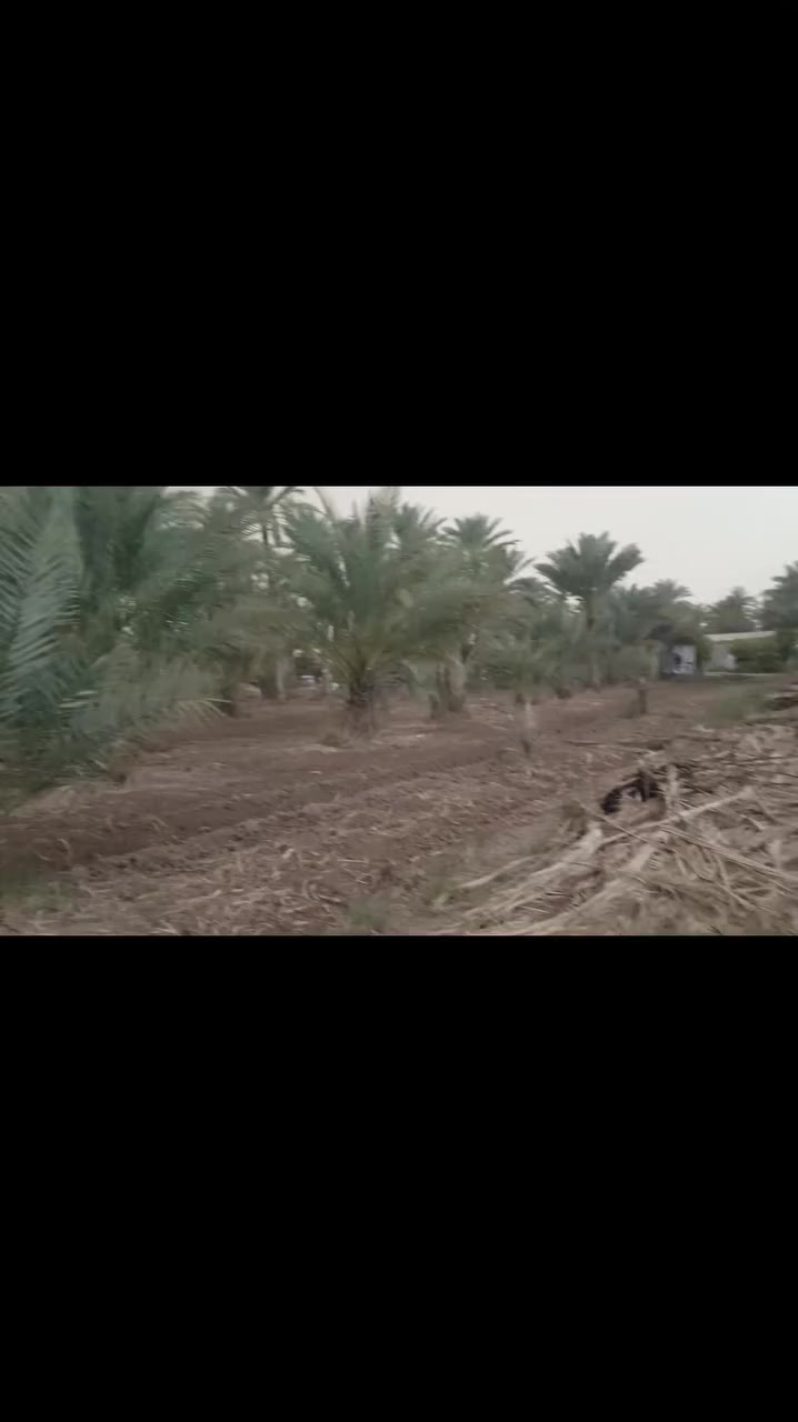 السلام عليكم 
#دونمين ونص
#طابو زراعي سند 25 تحويل مباشر
#وجه الارض على طول شارع عرض الارض 50
#تفاصيل الارض بالفيديو 
#موقع كربلاء منطقه نهر سلام 
***********
***********
