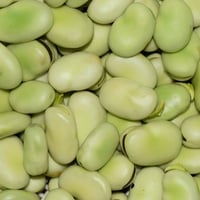 خضرة • حجز • خاص