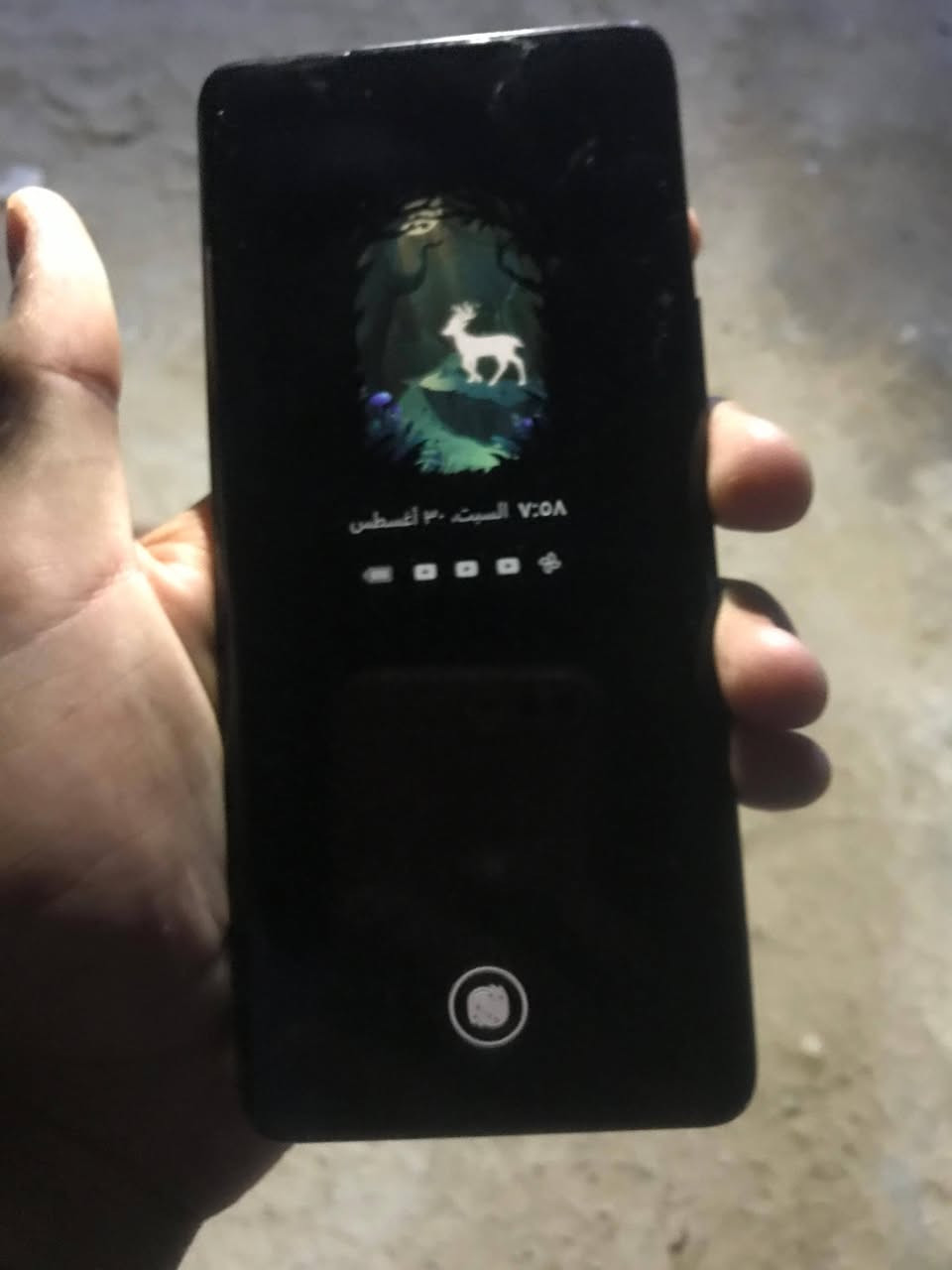 السلام عليكم هونر 9x البيع ذاكرته 256 موبيلي نضيف البطارية 5800 دقه الشاشه 2652+١٢٠٠  السعر 250


**إذا كنت صاحب هذا الإعلان وتريد حذفه لأي سبب، رجاءا أرسل رسالة إلى الدعم الفني**