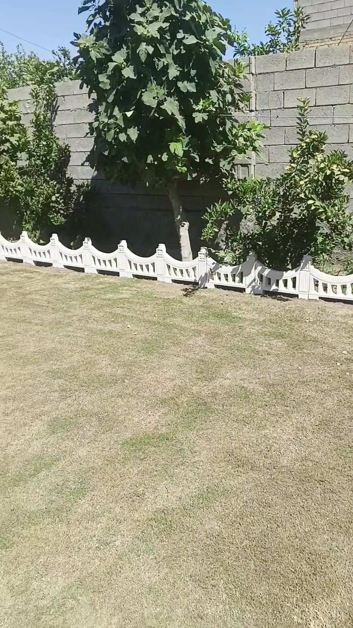 تصميم وديكورات الحدائق باسعار المناسبه اكثر الاستفسار ان تصل على هذا الرقم عنواننا جزيره الرمادي*********** واتساب
