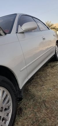 مارك • نقل جثة • كفالة