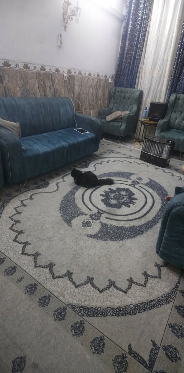 تخم 10 مقاعد نظيف السعر 200 وبيه مجال مكان بغداد الثعالبه


**إذا كنت صاحب هذا الإعلان وتريد حذفه لأي سبب، رجاءا أرسل رسالة إلى الدعم الفني**