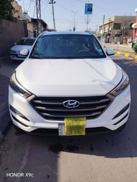 ٢٠١٦ • وارد أمريكي • بابل باسمي