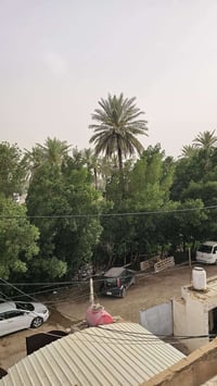 🇮🇶للبيع بيت في بغداد ناحيةالراشديه المساحه 220م واقع حال 270م ملك صرف ...