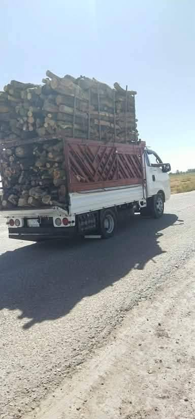 الي عنده كصاص بستان او غلنطوز أو اي خشب فحم للبيع يتصل ***********
