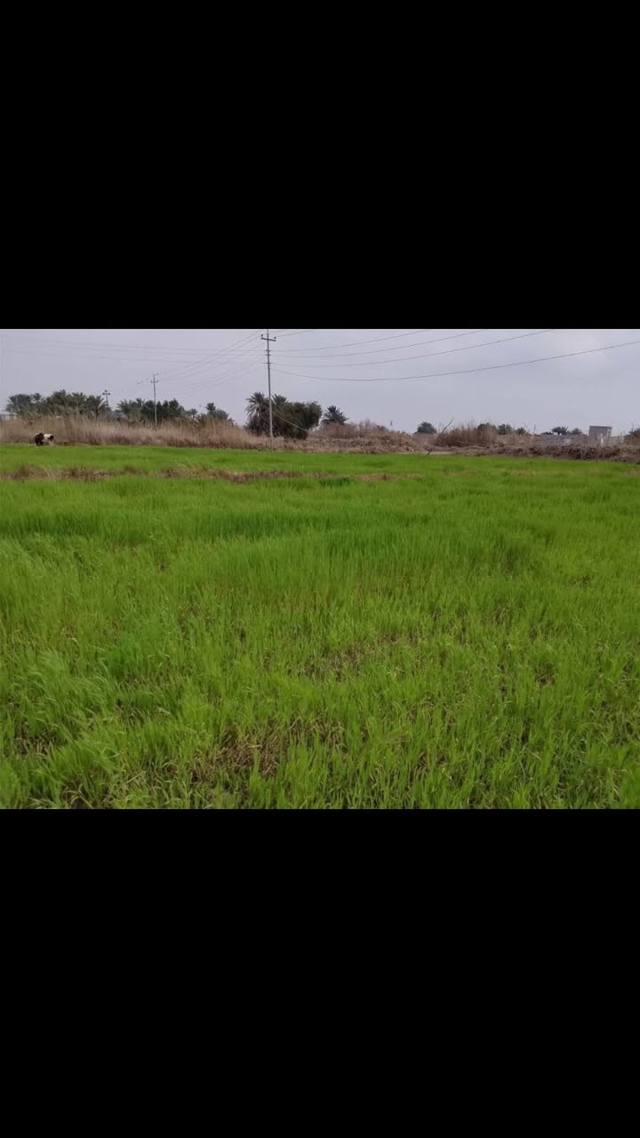 ارض زراعية للبيع دونمين كافة الخدمات ماء كهرباء وطريق
قرب جسر الاشجان  
***********
