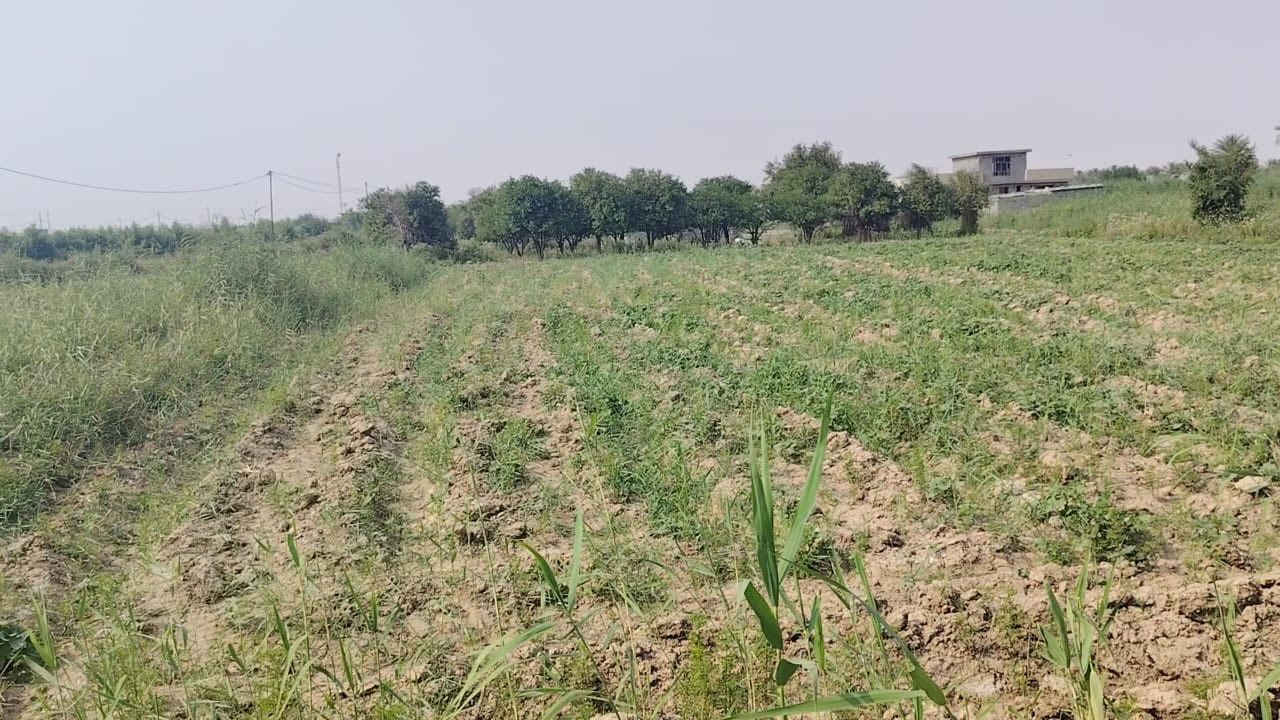 ((تحية طيبة ))    /   أرض زراعية للبيع   /
#موقع مناسب للاستثمار الزراعي أو للاستراحة 

منطقة الزلجة / قرب مدرسة طارق ابن زياد 

المواصفات والتفاصيل :

📐 - المساحة الكلية: 8 دوانم

 📜    - سند: 117

- الواجهة : 24 متر

- أربعة دوانم منها شاطية مباشرة على نهر دجلة

💰السعر: ٢٢ مليون للدونم الواحد 

، قابلة للتفاوض 

ولدى البائع وكالة عامة على الأرض ،،

[ للاستفسار اكثر الاتصال على الارقام التالية ]

📞 *********** 📞 *********** 📞
