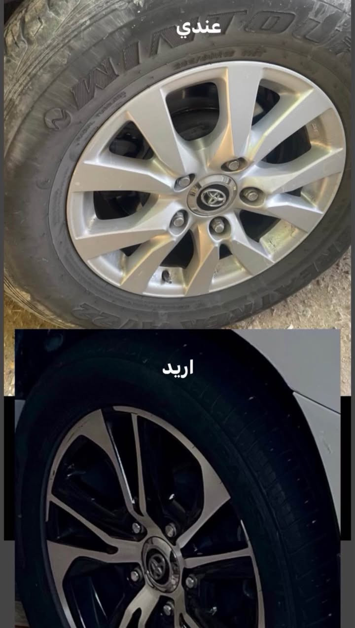 السلام عليكم 
اريد مراوس إذا واحد حاب يراوس اراوس 
*********** البصرة, العراق
