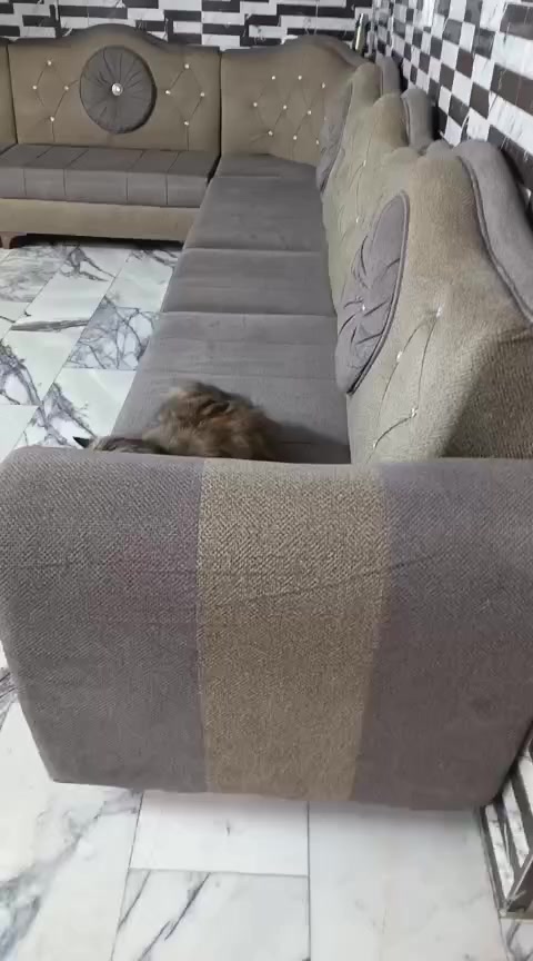 تخم ديوان سبع امتار اخو الجديد خشب بلوك ثكيل سعره ب٤٥٠ وبيه مجال بسيط مكاني البنوك الي يستفسر على الخاص


**إذا كنت صاحب هذا الإعلان وتريد حذفه لأي سبب، رجاءا أرسل رسالة إلى الدعم الفني**