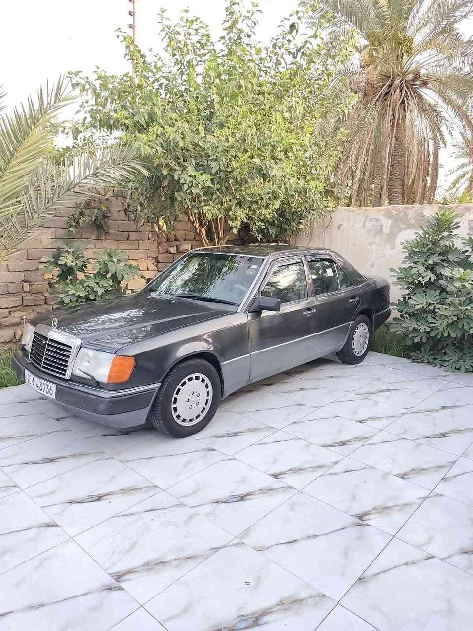 يا الله سلام عليكم مارسيدس دب للبيع مديل 90 سياره كفاله ضربه وكص وخياس وقواعد بلاد رقم نكليزي مشروع وطني تحويل مباشر سنويه 2031 بسمنه مكينه 3,000ونص بطه تبريد ويه سويج تخم تاير ويل كب5 حداده 100/100امامي خلفي جديد برانكيت كله جدي
لايت عالي ناصي مسجل بلوتوث للعلم صبغ عام جمالي فقط سياره جاهزه مجهزه ما تصرف عليه ربع وشراي بل خدمه سعر 58ومجال مكان لبصره قضاء المدينه رقم *********** ***********
يا الله سلام عليكم مارسيدس دب للبيع مديل 90 سياره كفاله ضربه وكص وخياس وقواعد بلاد رقم نكليزي مشروع وطني تحويل مباشر سنويه 2031 بسمنه مكينه 3,000ونص بطه تبريد ويه سويج تخم تاير ويل كب5 حداده 100/100امامي خلفي جديد برانكيت كله جدي
