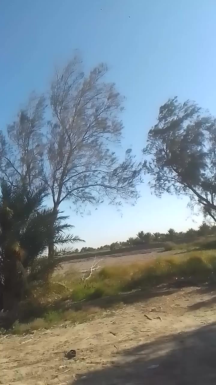 دراجه نامه كلك كلك كلك للبيع السعر 300وبيه مجال بصيط مكان ناصريه مركز


**إذا كنت صاحب هذا الإعلان وتريد حذفه لأي سبب، رجاءا أرسل رسالة إلى الدعم الفني**