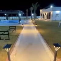 مزرعة النخيل • ايجار اليوم • خلف صبات دوانم