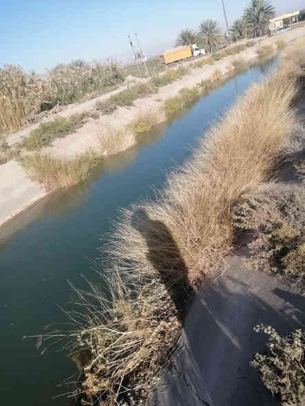 بسم الله الرحمن الرحيم اللهم صلِّ على محمد وآل محمد السلام عليكم ارض للبيع 8دونم منطقة الشيخ عامر تاجي سبع البور ماء كهرباء مدارس اسوق مستشفى الوجهه دونم الواحد ونزال 60 حلوات 💎مرتبات اشتري راحتك🌉 ورحت عائلتك سند 25طابو زراعي عله فلوجه  شارين عليه ذراع دجله ✅سبع البور اتصال ***********يتوفر واتساب 💎
