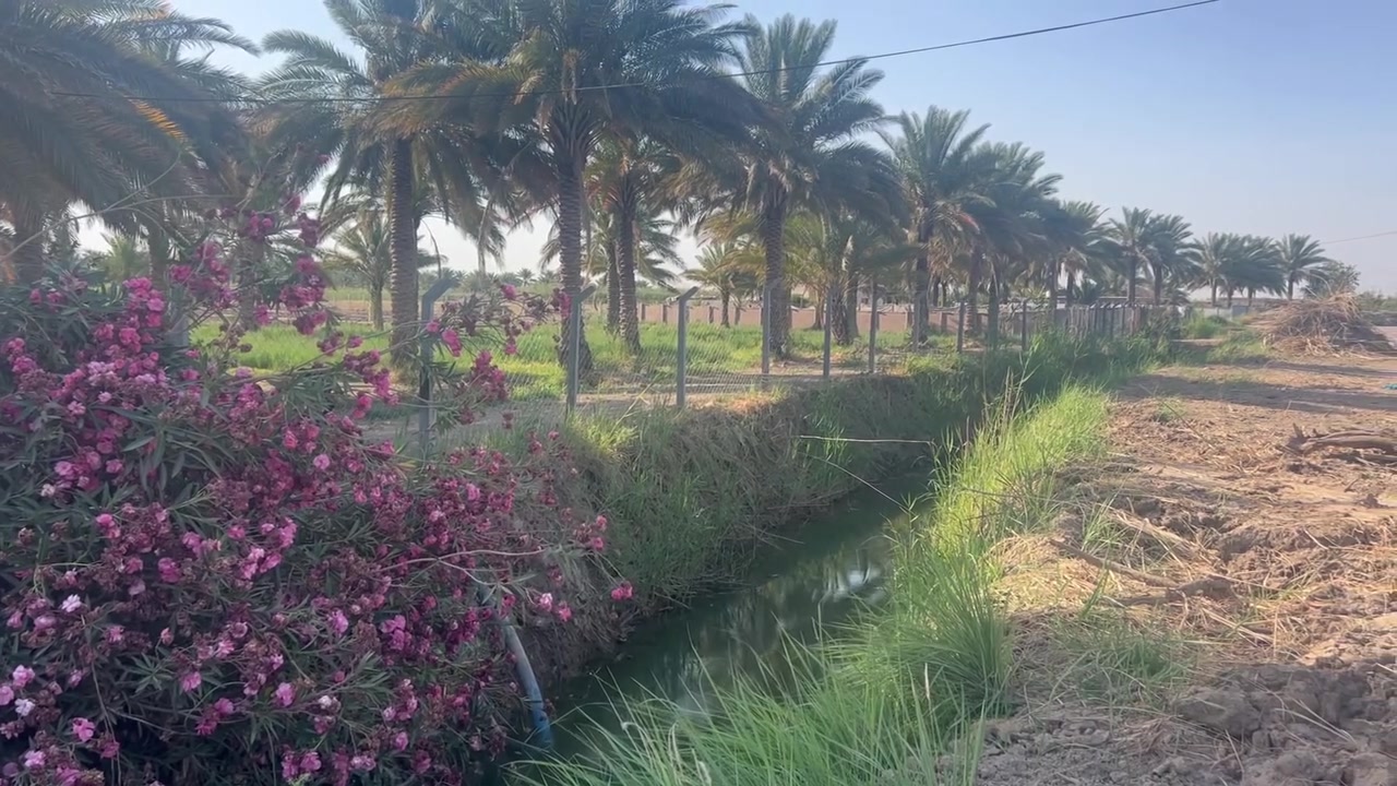 6 دونم البيع سند 25 تحويل باسم المشتري المسيب  جيلاويه  
***********
