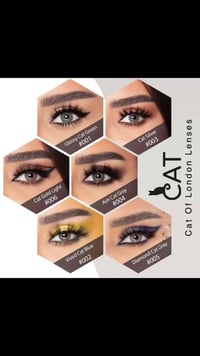 عدسات كات اوف لندن • أصلية سنوية • توصيل لجميع المحافظات