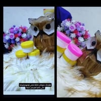 تبيض الوجه • نمش وكلف • بالفيتامين