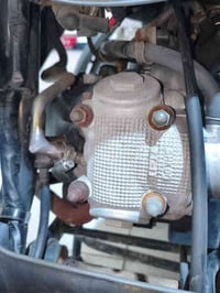 ماكس منغولي ٢٠٠٨ • دهن جديد • ام العصافير