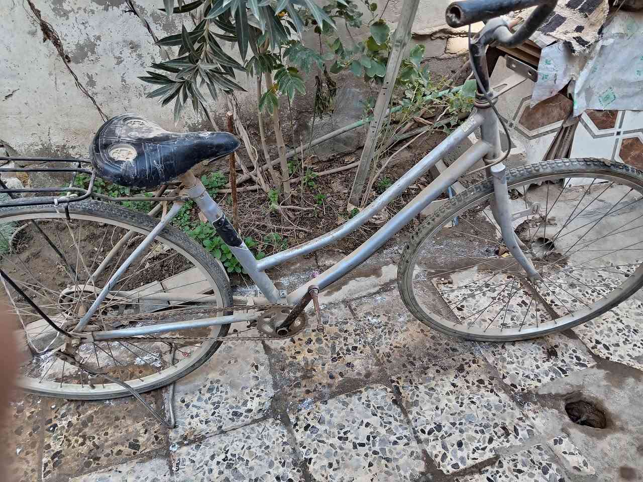 باسكل ب٤٠ مركز الديوانيه


**إذا كنت صاحب هذا الإعلان وتريد حذفه لأي سبب، رجاءا أرسل رسالة إلى الدعم الفني**