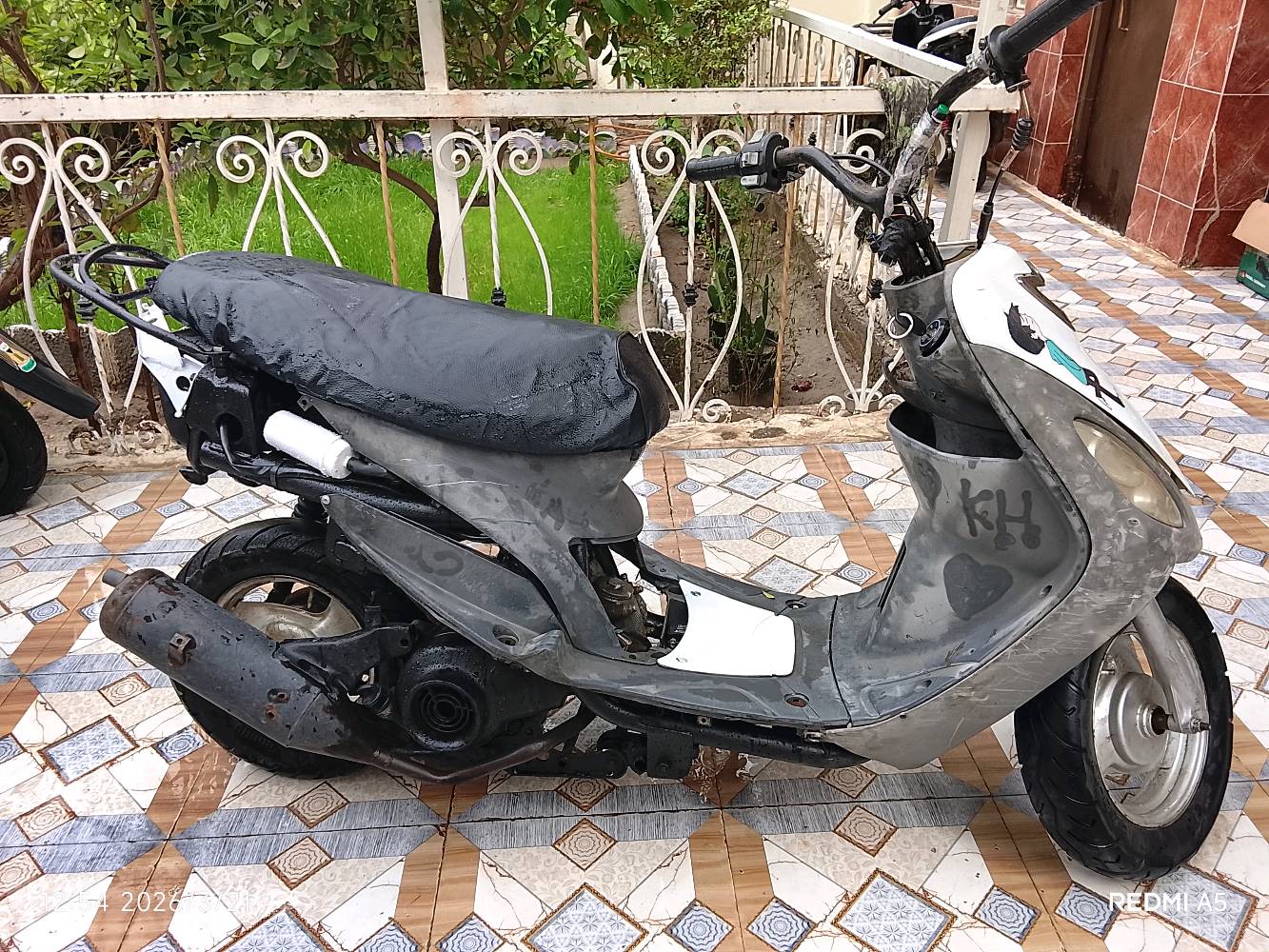 للبيع ماكس منغولي حربي مكينه ناعمه وتخبل وبسعر مناسب مكاني حله شاوي قرب غرفت التجاره رقم ***********