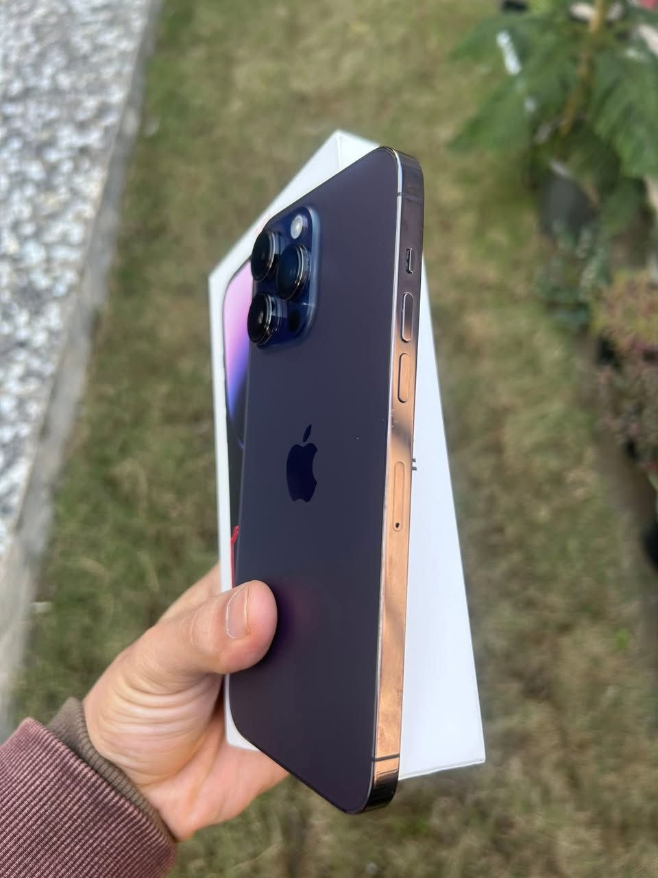 14 برو ماكس

ذاكره 256 

بطاريه 86

 جهاز بلادي 

فقط بي فطر زغير بل شاشه شعرايه 

ومن وكع انفطر صار بي إشعار كأمره فقط 
البعد في ٥  ابعد شي كام ما يشتغل فقط 

جهاز ماستر كارتونه 

مرواس بسكنس جبلي 
او بيع 

***********
