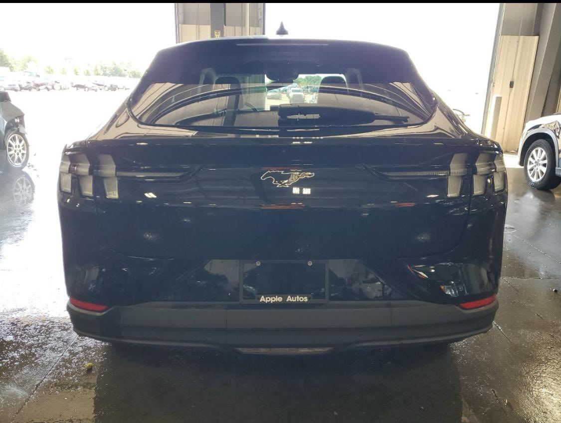 فورد ‏موستينج  2023  كهرباء كامل  
لون اسود 
قاطعه مسافة 22 الف ميل
بطارية ليثيوم 
‏تمشي بالشحنة  400   كيلو
بيع او مراوس بكامري 

‏
‏الإضافات  :
‏• دفع رباعي 
‏• شاحن لاسلكي Wireless Charger
‏• شاشة لمس بحجم 15.5 بوصة
‏• نظام كاميرا الرؤية المحيطية لركن السيارة 360 درجة 4 كاميرات
‏• مقاعد كهرباء - مدفأة 
‏• بصمة تشغيل
‏• حساسات ركن أمامية وخلفية
‏• مانع انزلاق
‏• مثبت سرعة Cruise Control
‏• أضوية زينون 
‏• مصابيح LED أمامية وخفلية
‏• اشارات عالمري الجانبيه مع النقطه العمياء
‏• تحكم ستيرن جهتين مع قيادة ذاتيه 
‏• مري طوي كهرباء
‏• نظام ملاحة - Navigation
‏• هاند بريك كهرباء
‏• اضاءة ليد داخلية Ambient lighting
‏• 8 وسائد هوائية Airbags
‏والعديد من الاضافات 
تبديل جامل امامي ايسر
***********
