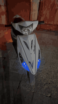 سلام عليكم ماكس مضلع ياباني كلشي شغال بيها هورن سكنات كلوب عالي ناصي الدراجه ما مفتوح بيها برغي قبل يومين من نزلته رمبه المكينه خرسه الدراجه شلعه ومعدل تخبل السعر 900وخمسين قفل ***********
