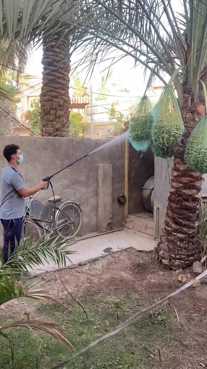 مكافحه ثمار النخيل وغسل النخيل وجعل الثمار ممتازه بدون عناكم وامراض وأرضا بيكم خير وتدللون الي يريد يعالج يدلل بأنسب الأسعار  
للعلم علاج عناكب فعال وآمن 
***********
متواجد خاص او واتساب او اتصال
