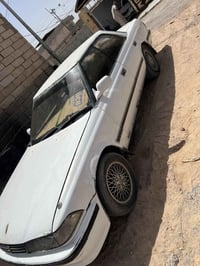 مارك كصيف • اوراق • ابو الخصيب