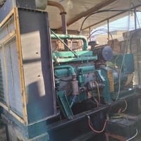 مكينة توليد • 13 راس • واسط