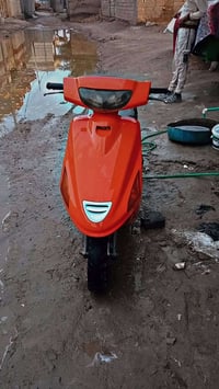 فرشه • ٢٥٠ • شغال