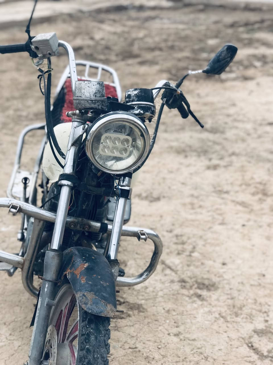 مراوس بايراني الخالص التحويله ***********
