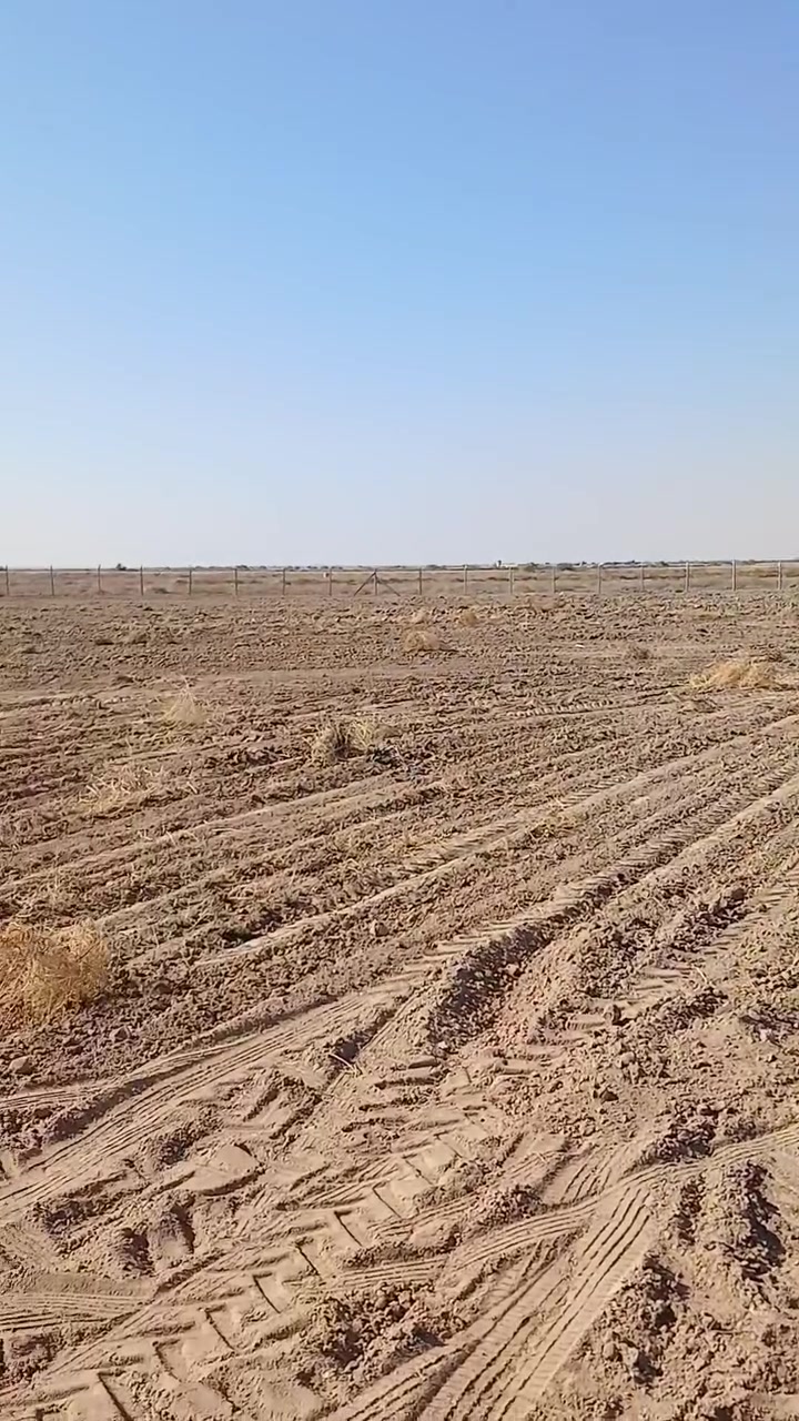 سلام عليكم ٣دونم ونص للبيع لو مراوس بيت لوقطعه مكان الدوانم جماليه مصليخ خلف معمل الغاز مي سكي وكهربلاء موجودات***********
