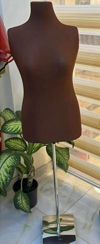 ملكان • مستعمل • قاعده ستيل